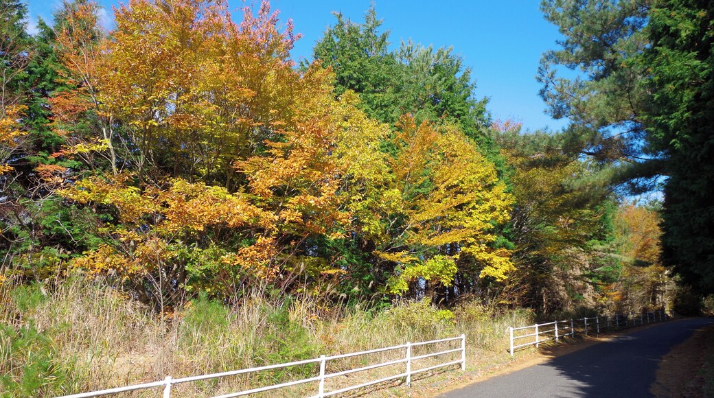 林道牛滝線 2013.11.23