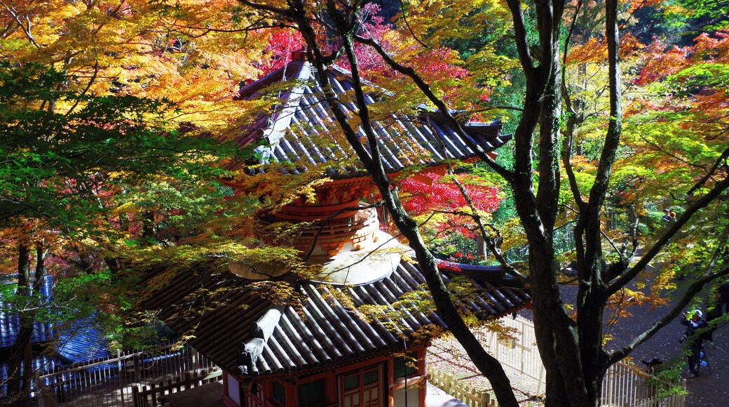 大威徳寺多宝塔 岸和田市 Daiitokuji 2013.11.23