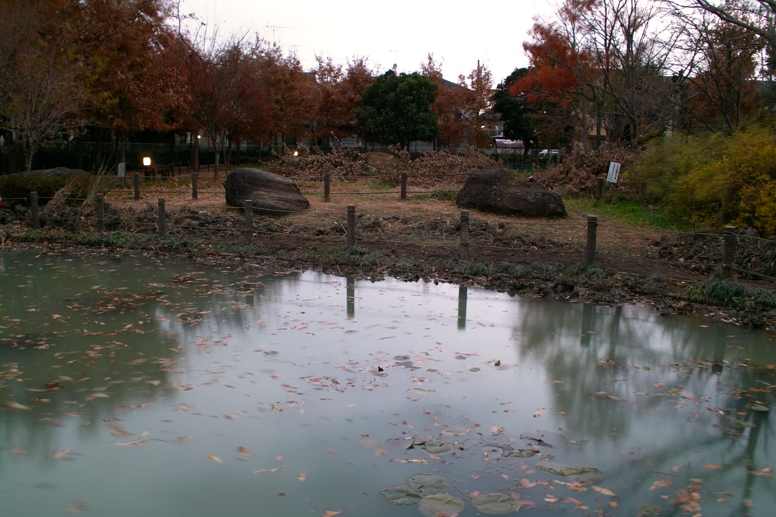 A pond with lily pads and autumn leaves, surrounded by trees and rocks.