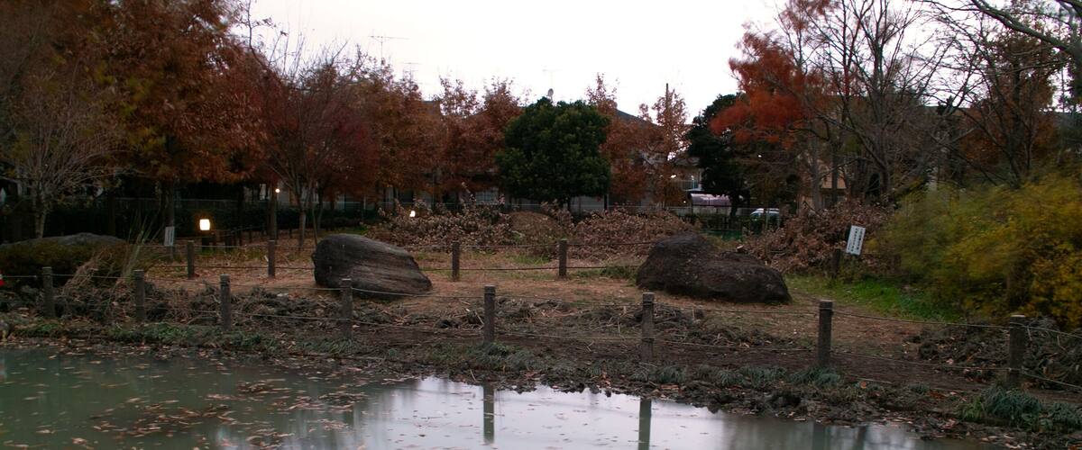 A pond with lily pads and autumn leaves, surrounded by trees and rocks.