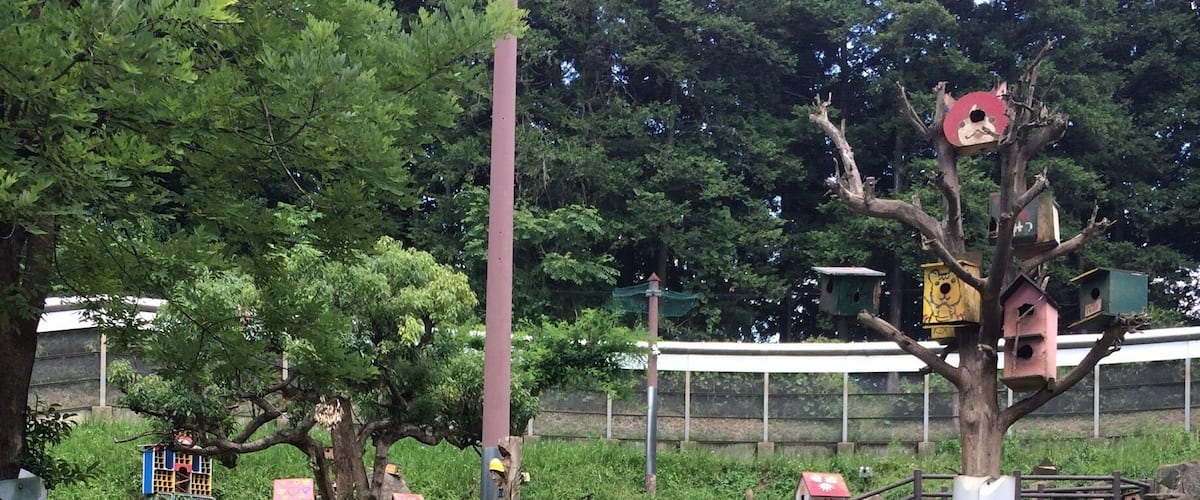Quite an unusual little place. Open space full of squirrels that you can feed for 100yen. The park also has hamsters,bunnys, and tortoises that you can feed too. If you hv children they will really enjoy it.