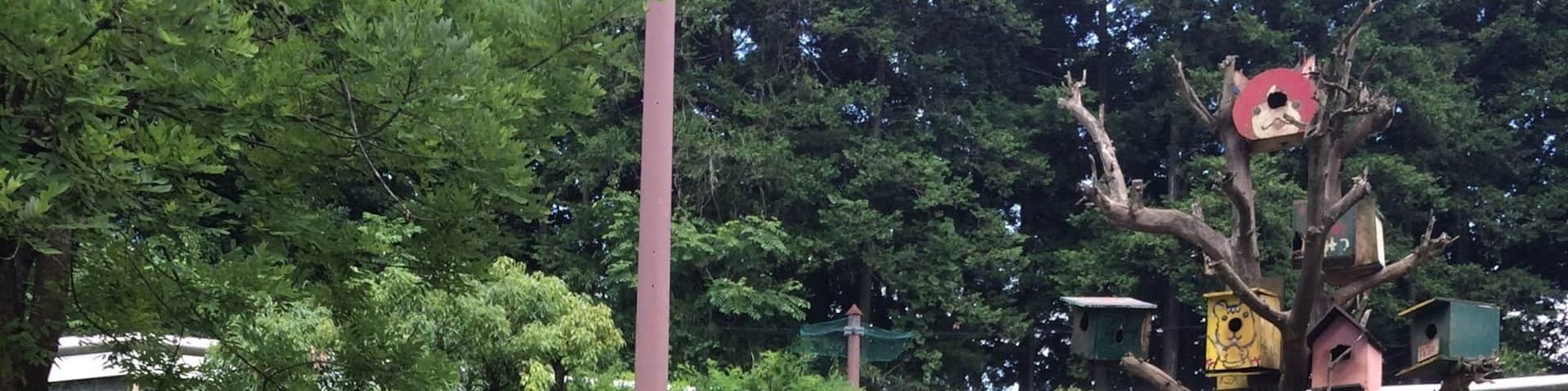 Quite an unusual little place. Open space full of squirrels that you can feed for 100yen. The park also has hamsters,bunnys, and tortoises that you can feed too. If you hv children they will really enjoy it.