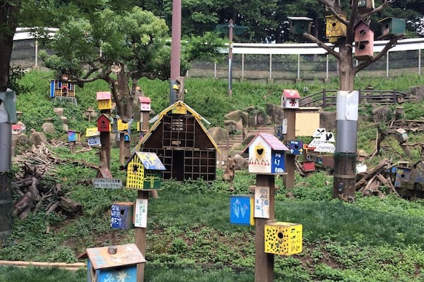 Quite an unusual little place. Open space full of squirrels that you can feed for 100yen. The park also has hamsters,bunnys, and tortoises that you can feed too. If you hv children they will really enjoy it.