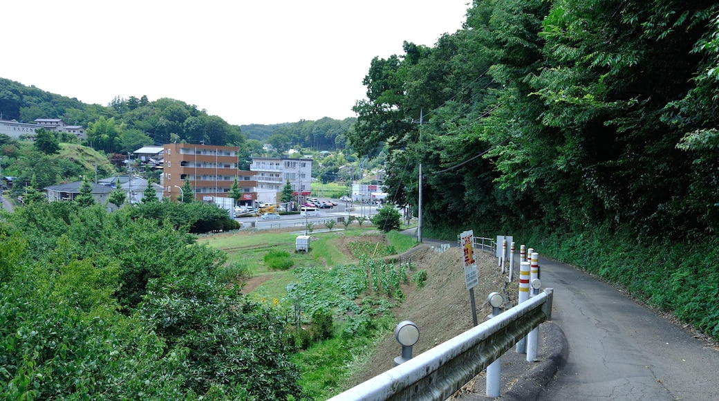 Onojimachi, Machida, Tokyo 195-0064, Japan