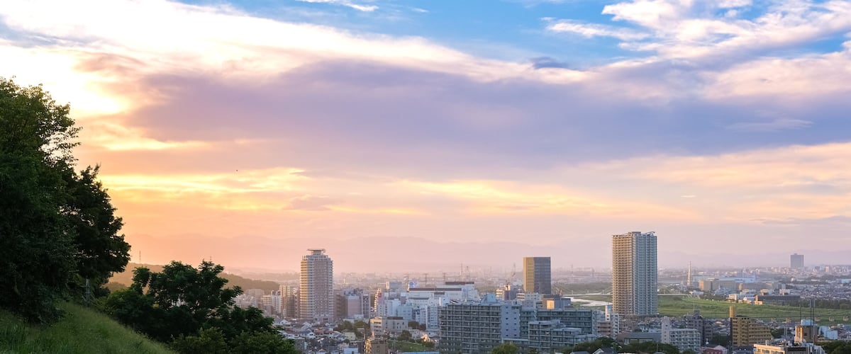 A cityscape with a hill in the foreground, buildings, and a sunset sky.
