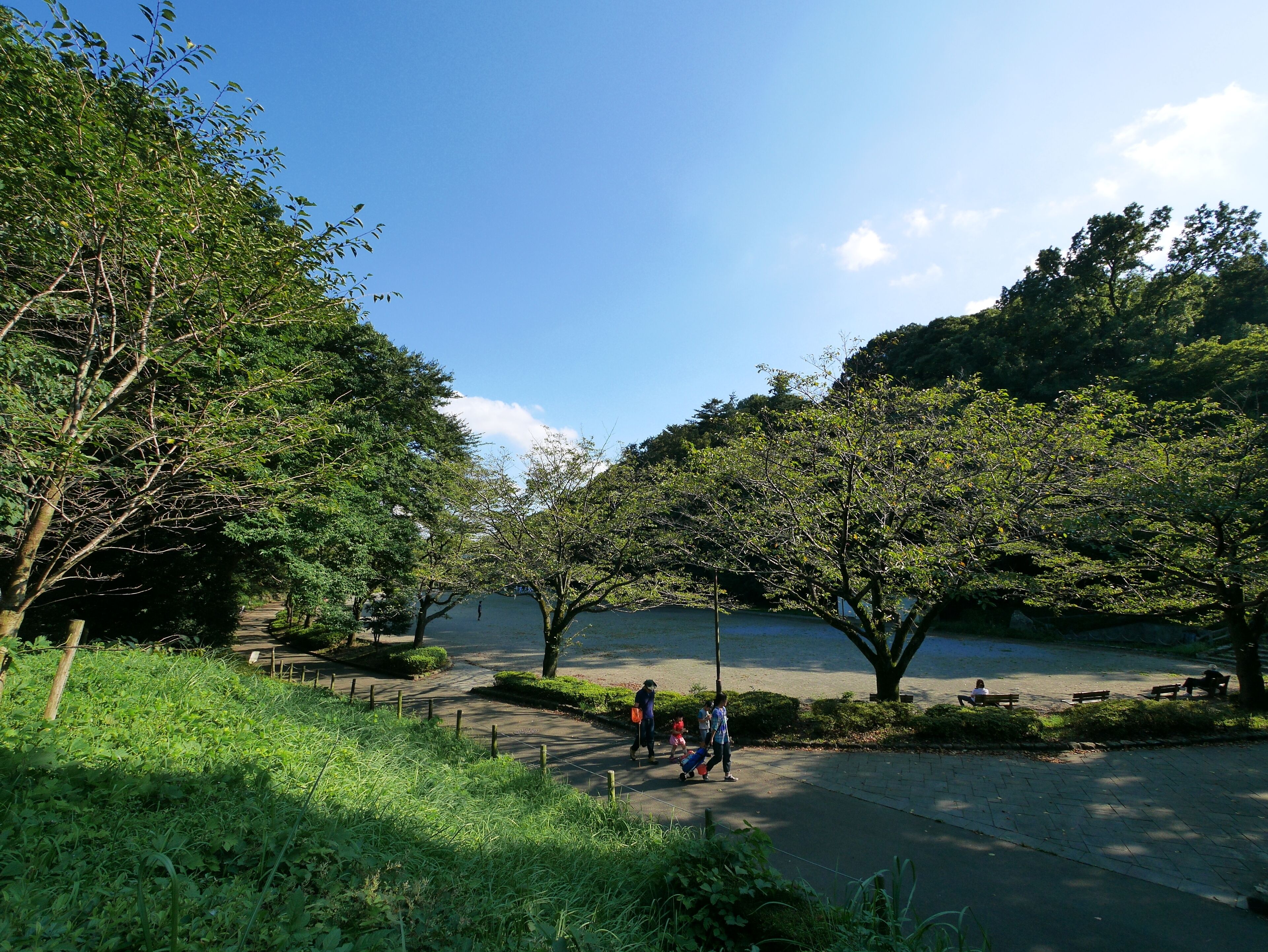 Un parque con un sendero pavimentado, árboles y bancos.