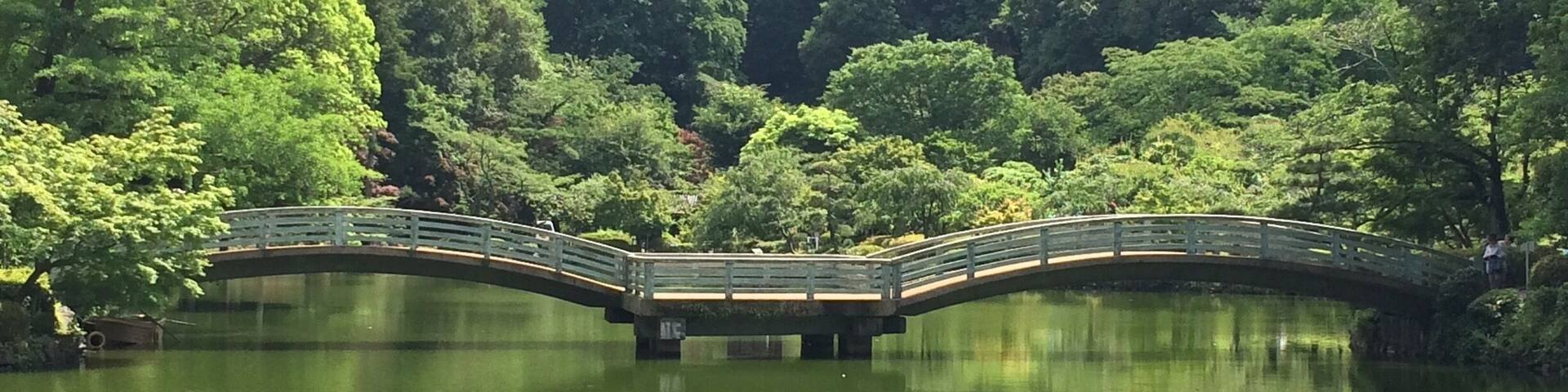 Beautiful park away from the usual touristy areas...quiet & serene.