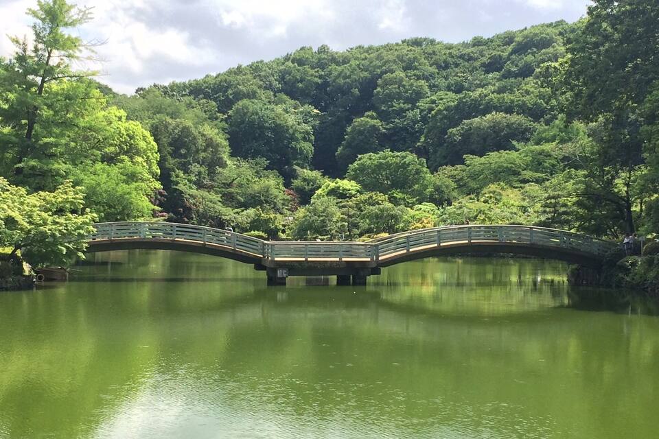 Un pont de fusta sobre un llac tranquil, envoltat de boscosos arbres i un turó forestal.
