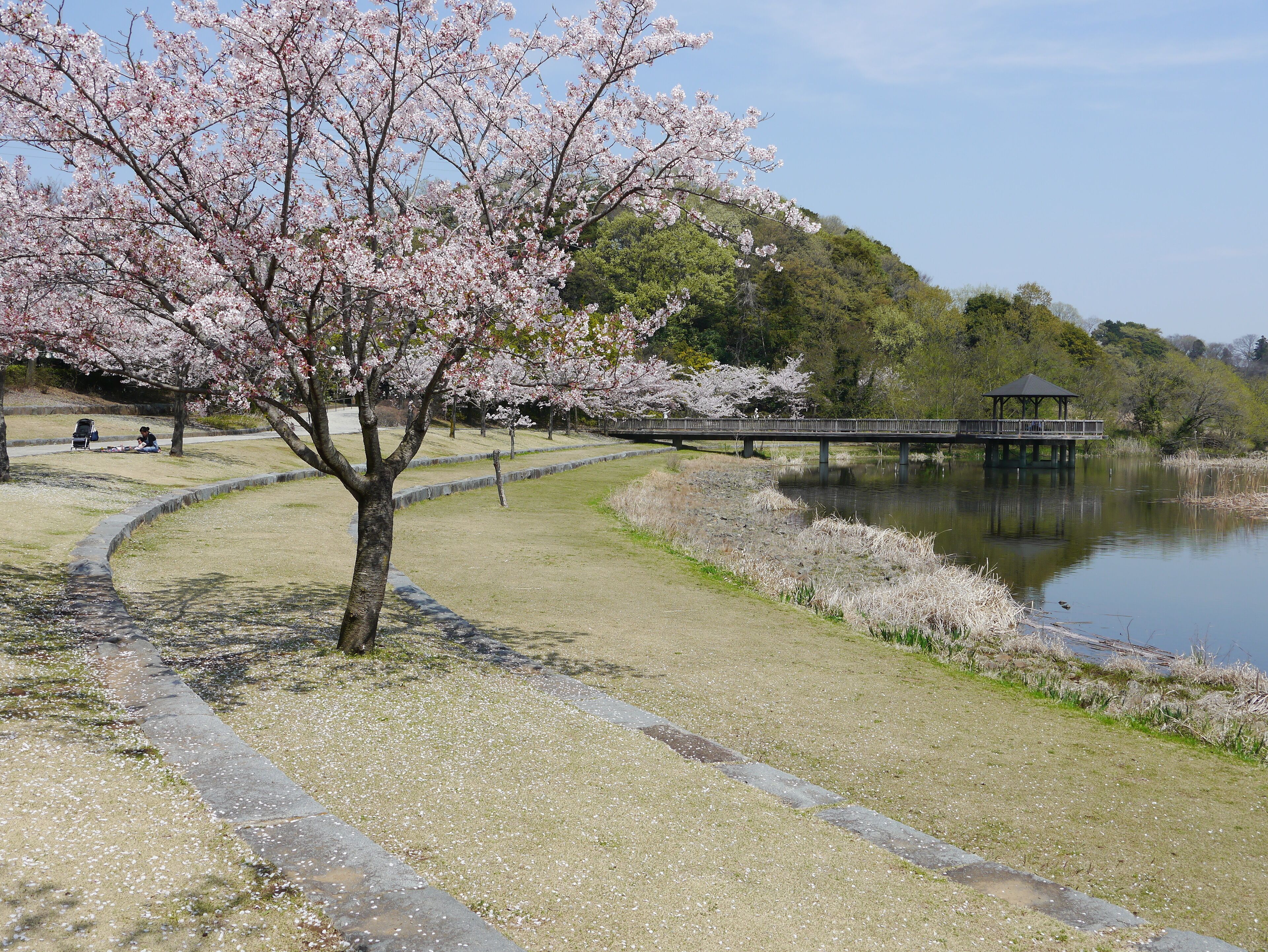 Sendabori, Matsudo, Chiba Prefecture 270-2252, Japan