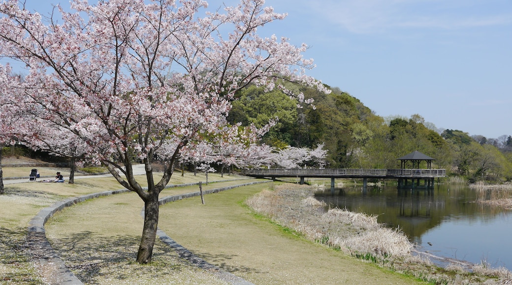 Sendabori, Matsudo, Chiba Prefecture 270-2252, Japan