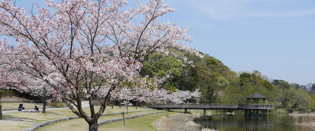 Sendabori, Matsudo, Chiba Prefecture 270-2252, Japan
