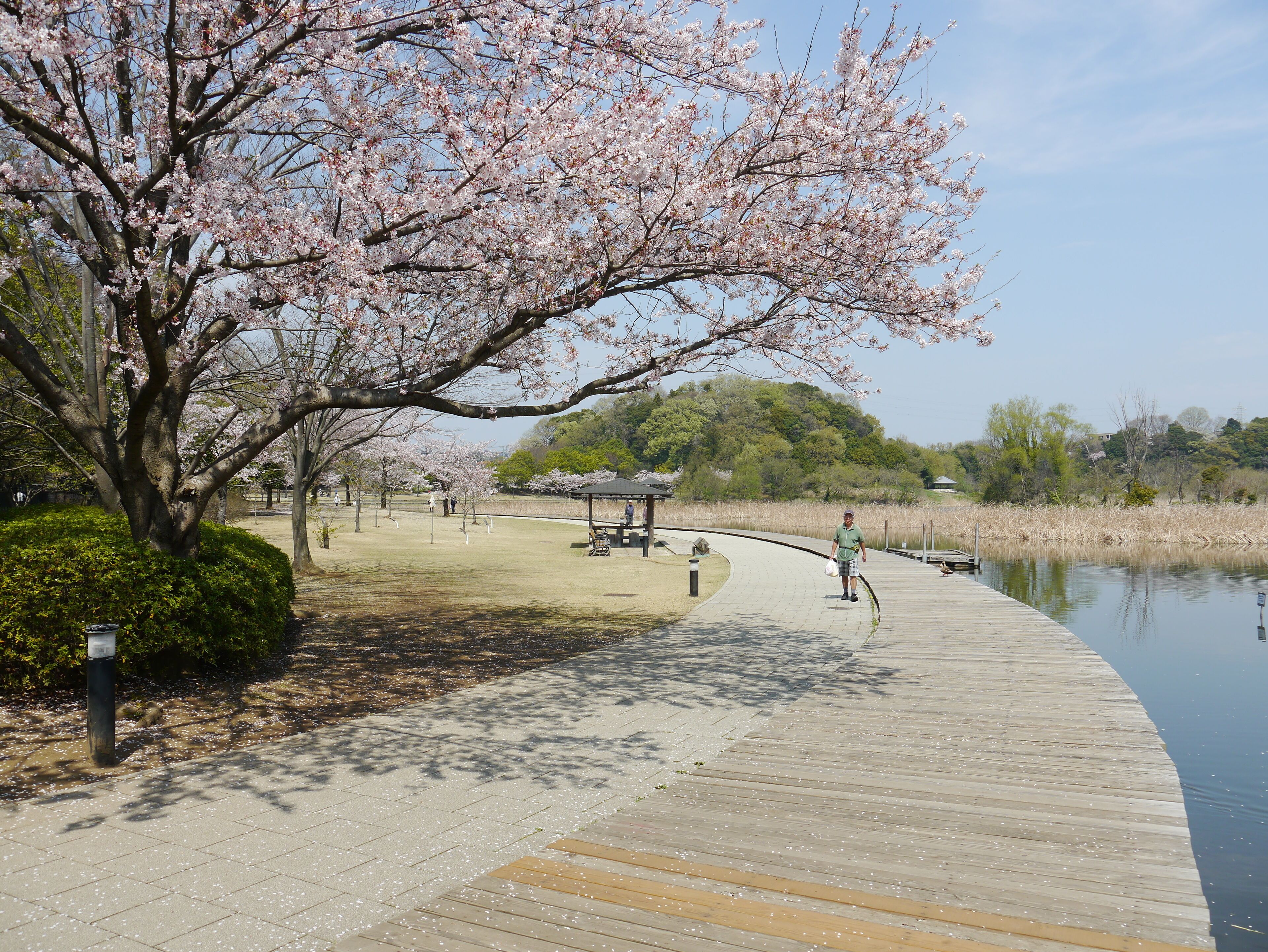 Sendabori, Matsudo, Chiba Prefecture 270-2252, Japan