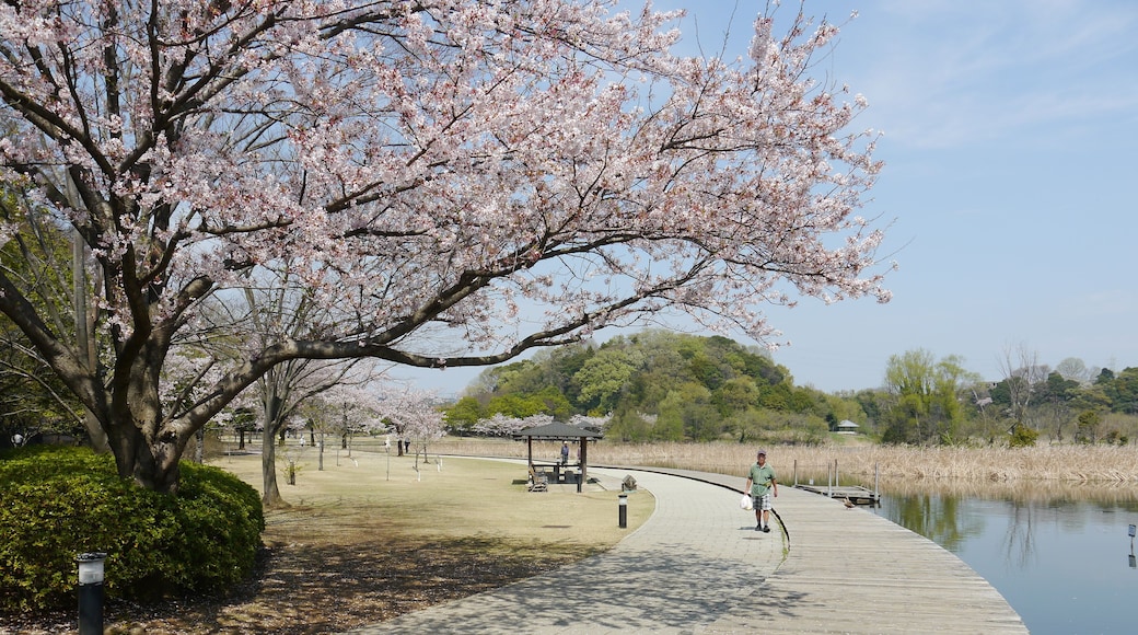 Sendabori, Matsudo, Chiba Prefecture 270-2252, Japan