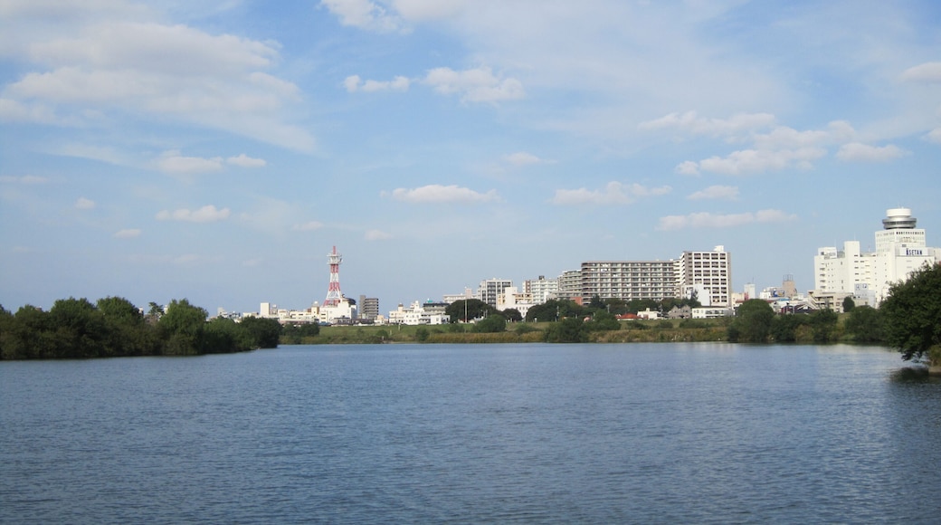 江戸川と松戸市街(松戸市)