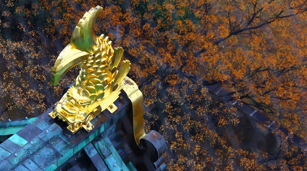 View from the top of Osaka Castle