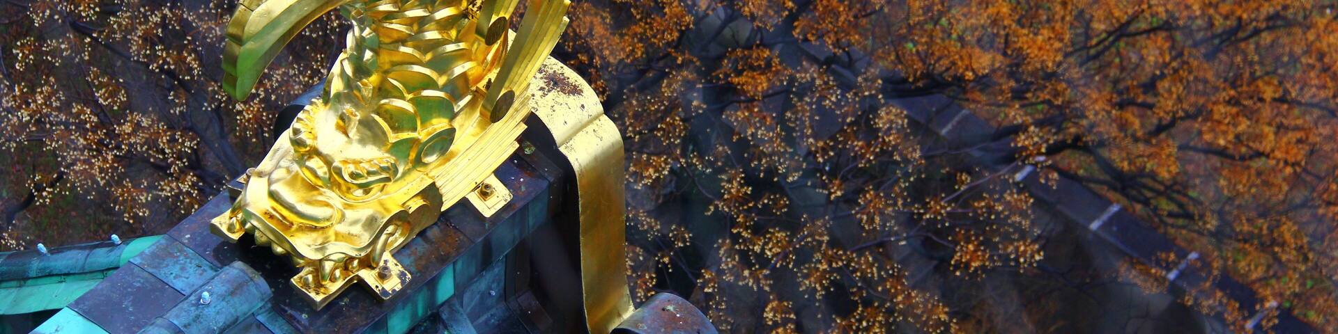 View from the top of Osaka Castle