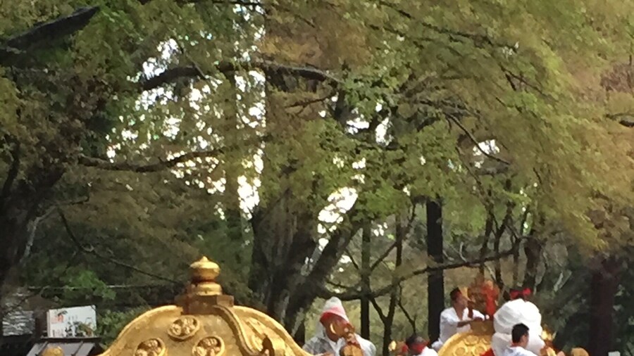 Stumbled upon annual Sanna Festival