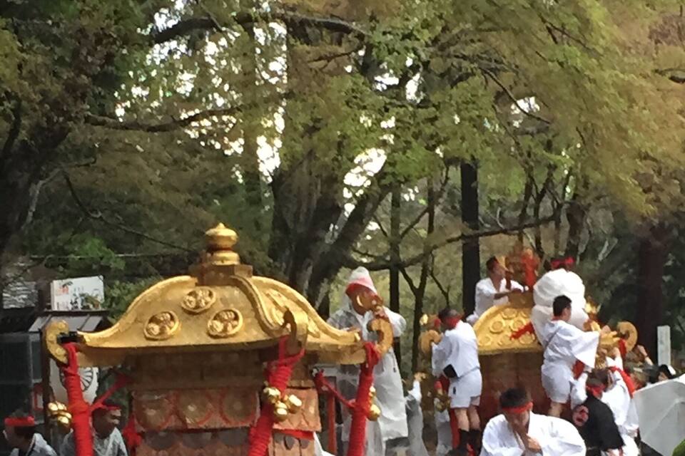 Una procesión con un carruaje dorado, participantes vestidos de blanco y una multitud al aire libre.