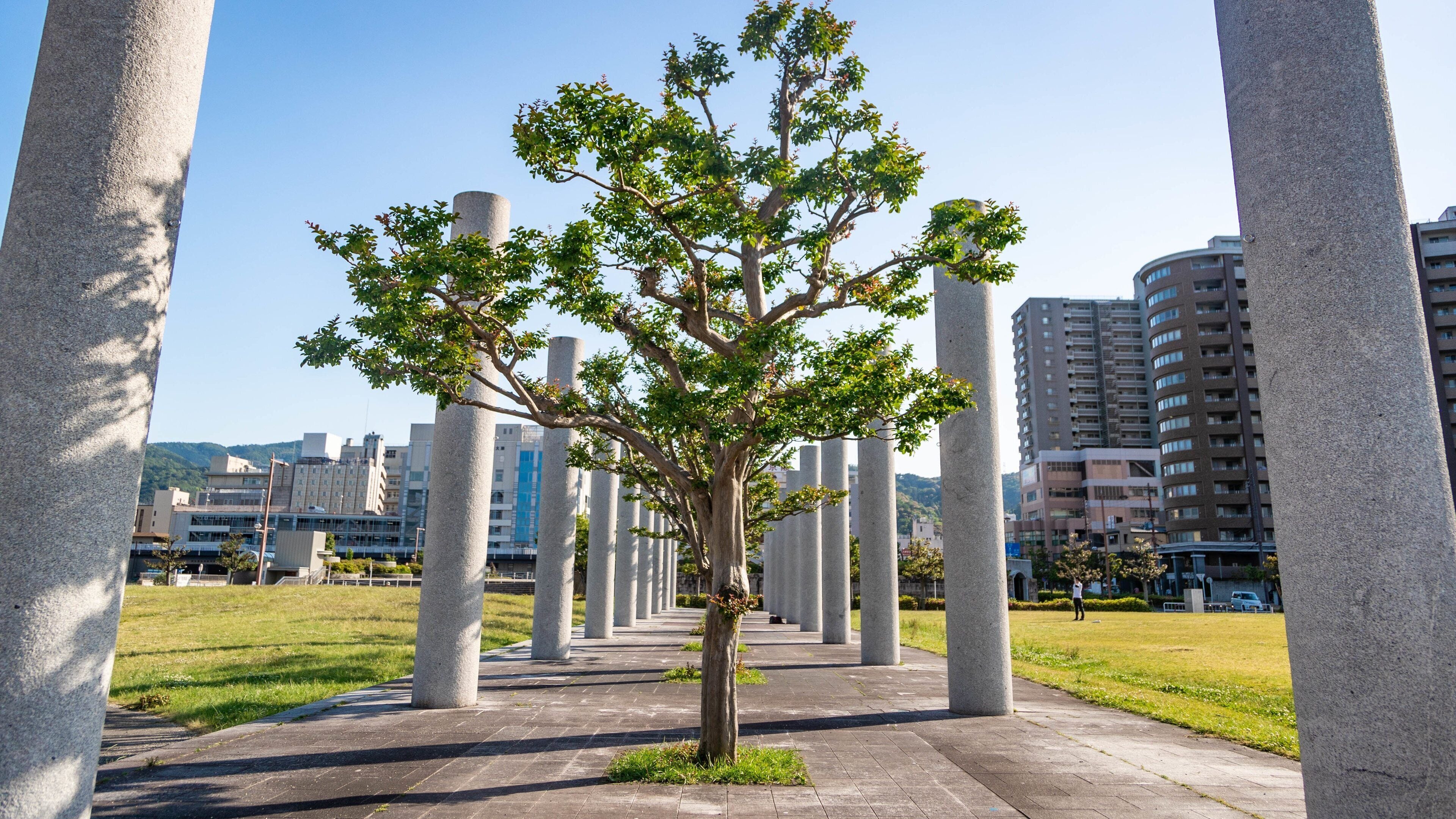 Lake Biwa showing a garden