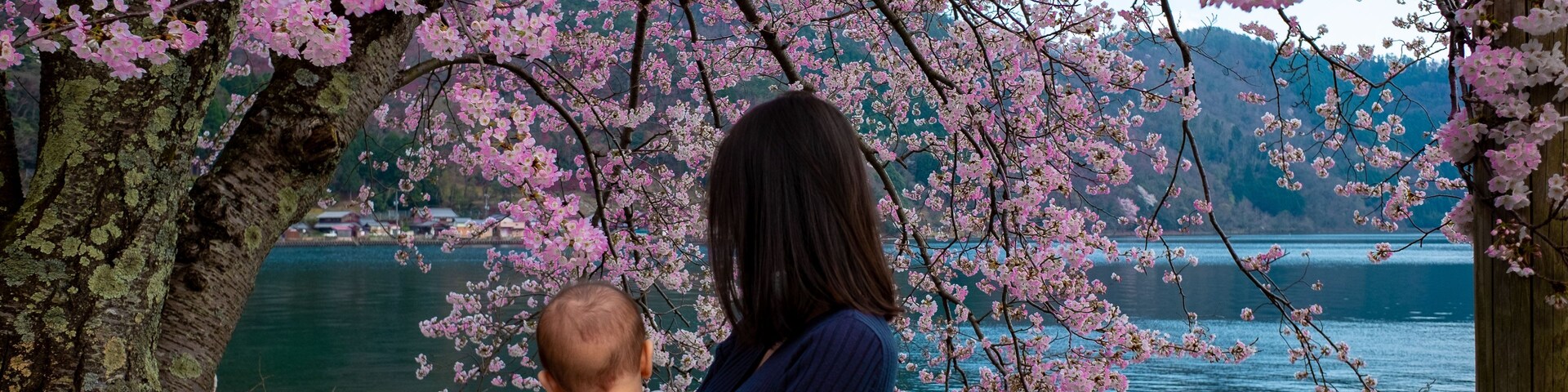 Una mujer sostiene a un niño cerca de un cerezo con vistas a un lago.