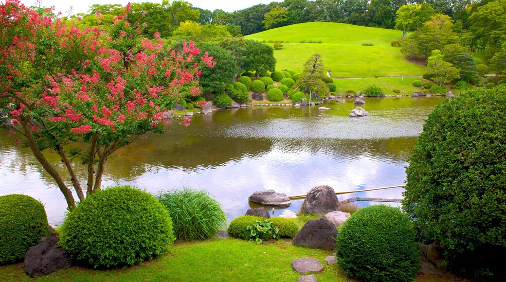 Suita which includes a pond, wildflowers and a garden