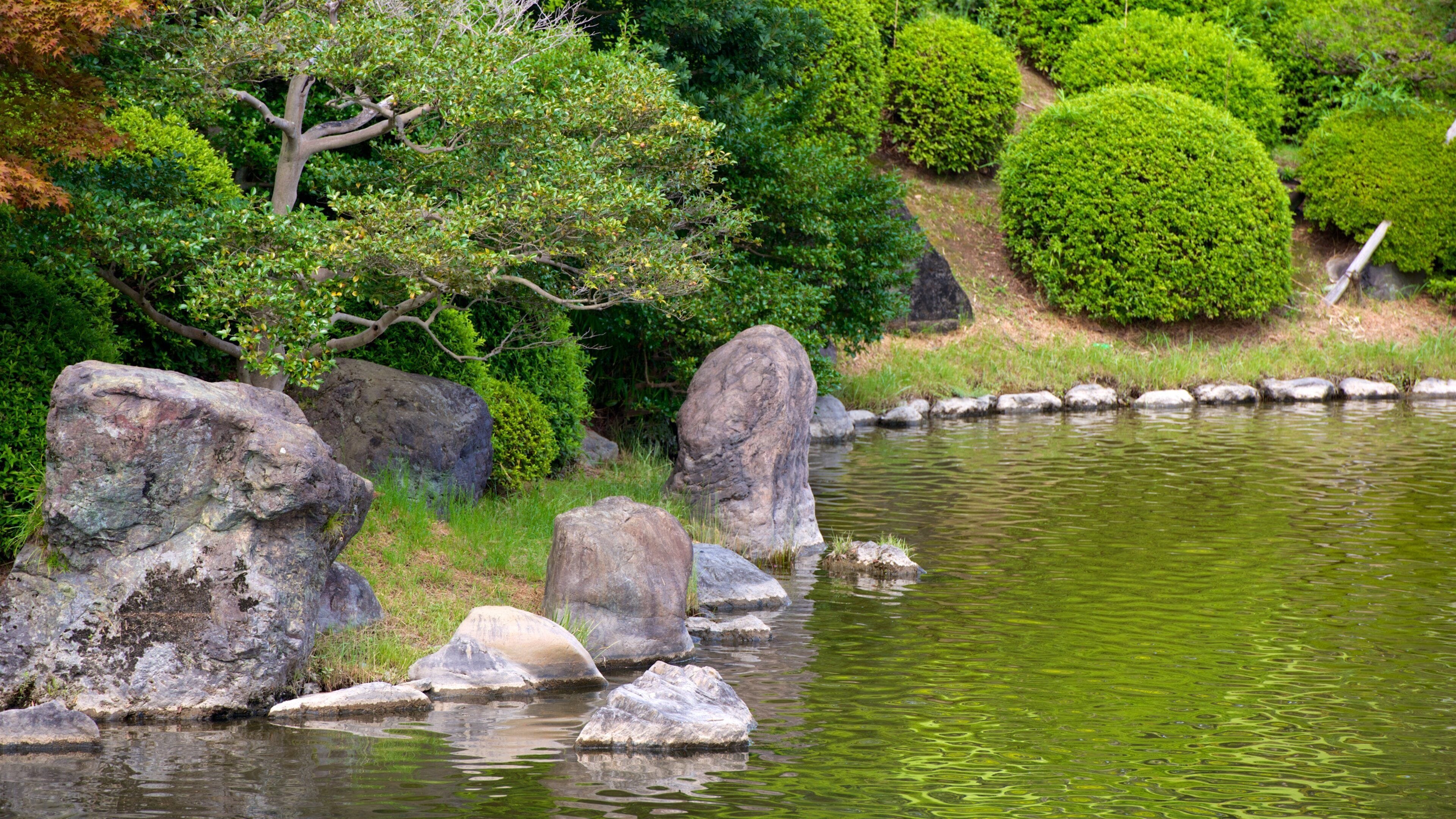 Suita showing a lake or waterhole