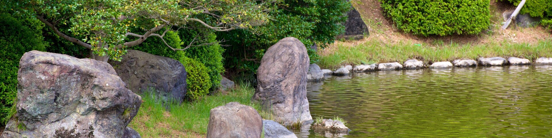 Un estanque tranquilo con rocas grandes y abundante vegetación.