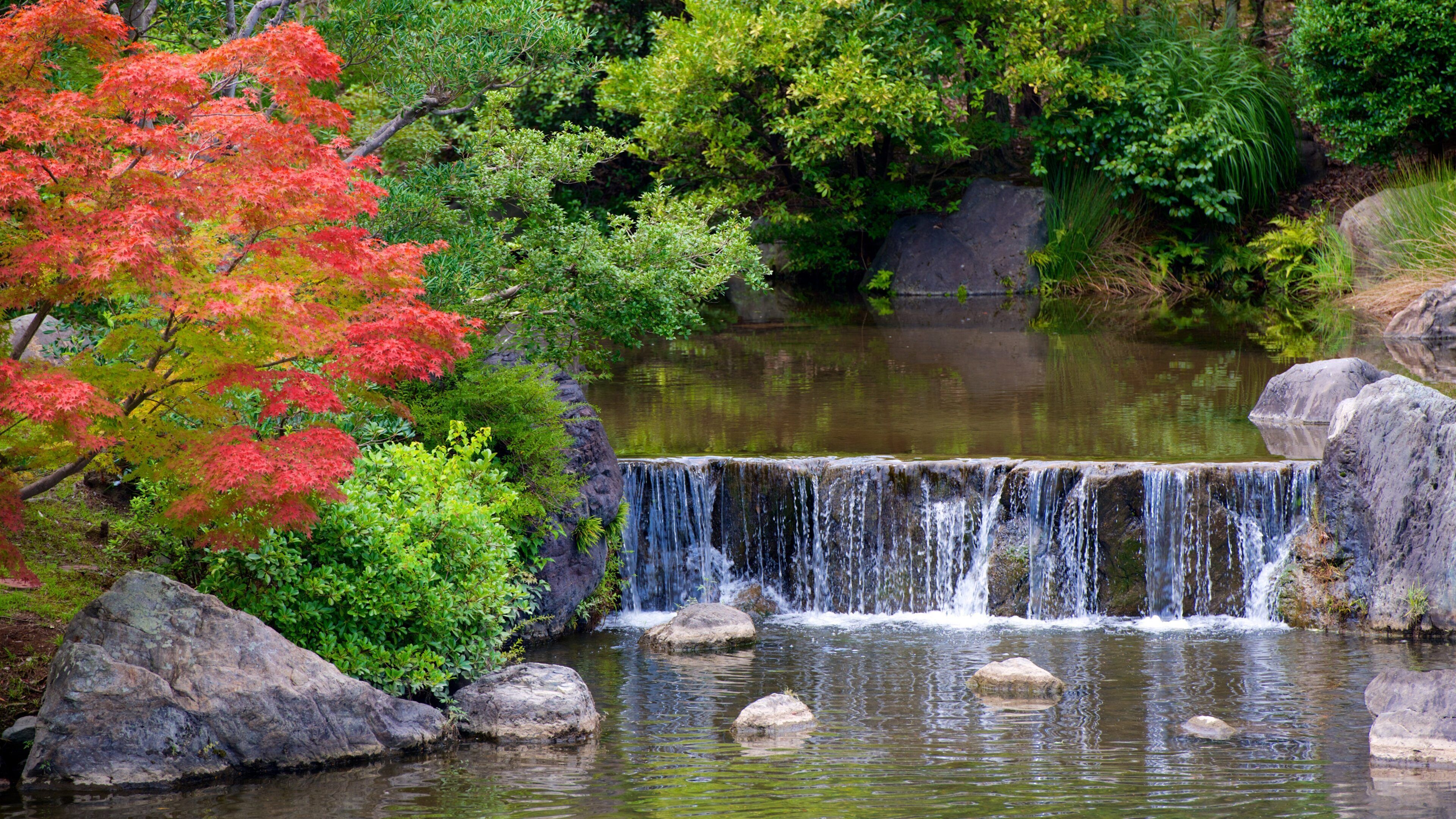 A waterfall in a forested area with rocks and trees.