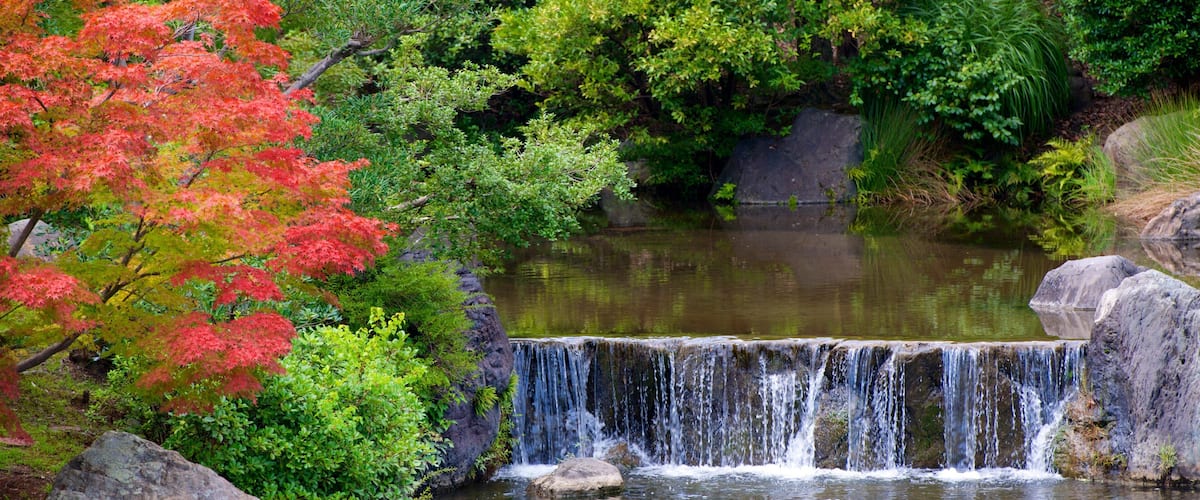 A waterfall in a forested area with rocks and trees.