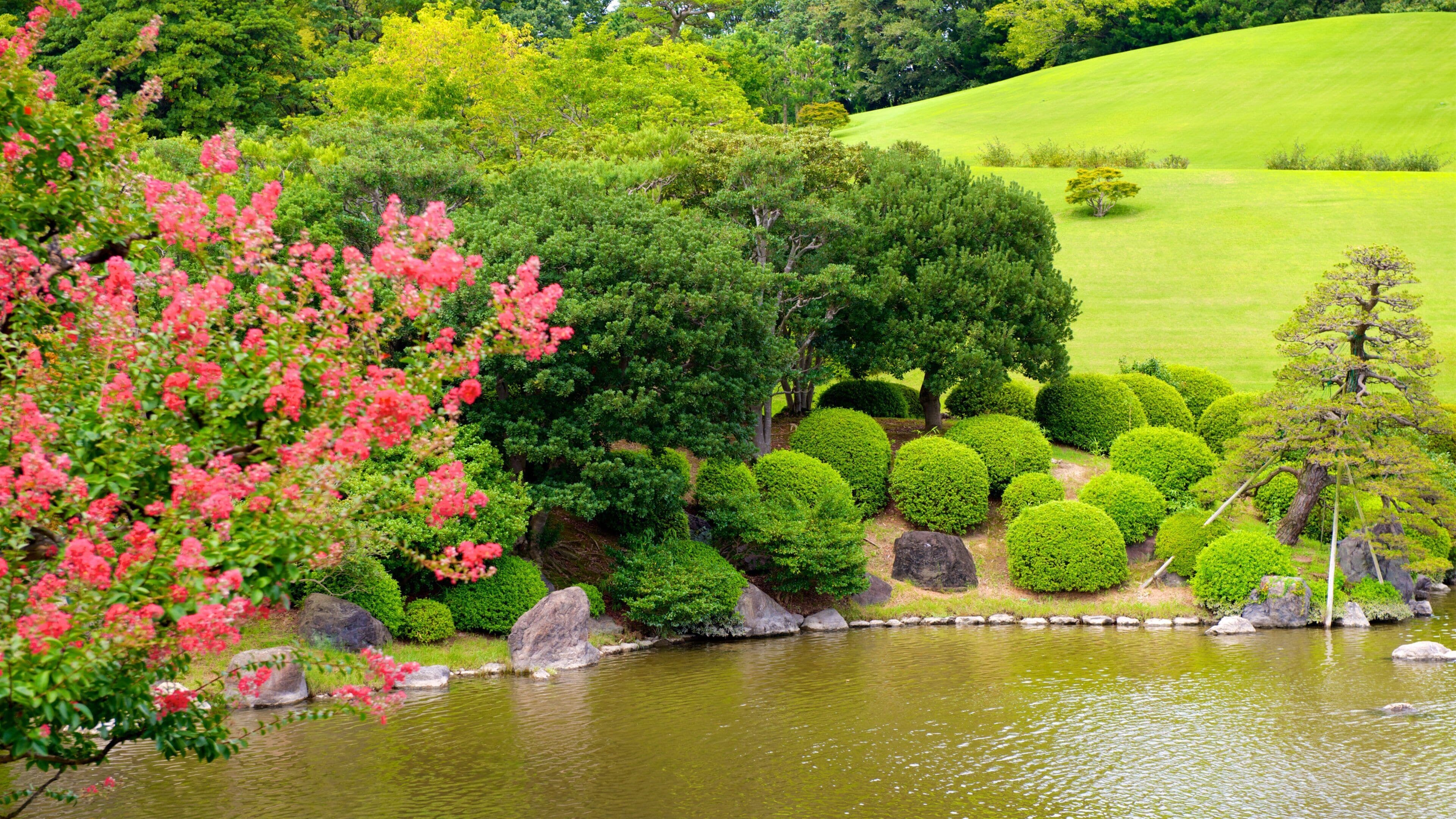 Suita showing a garden, wildflowers and a pond