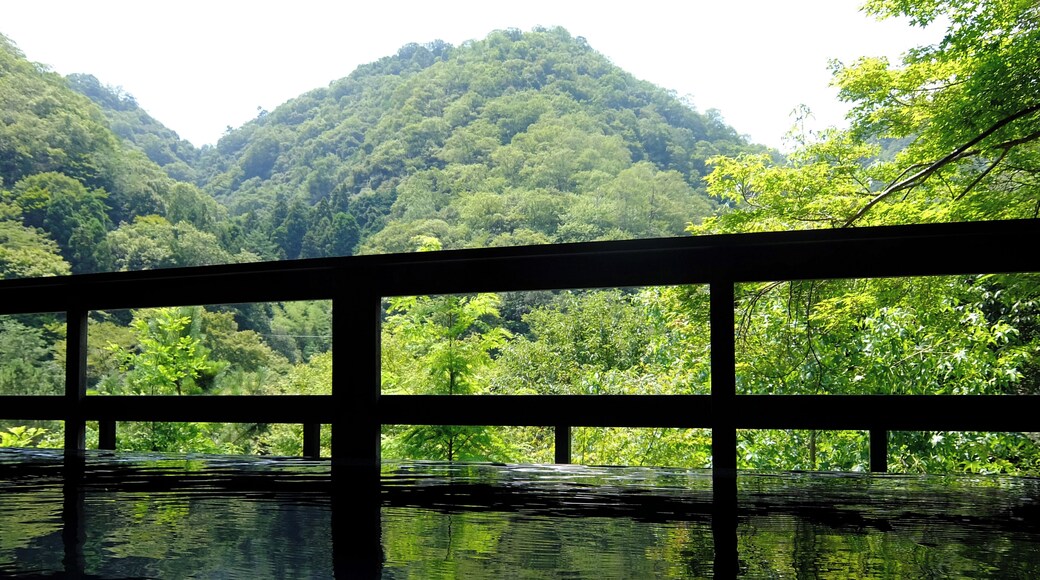 At Koyokan Bettei Azare in Takedao Onsen, Takarazuka, Hyogo prefecture, Japan