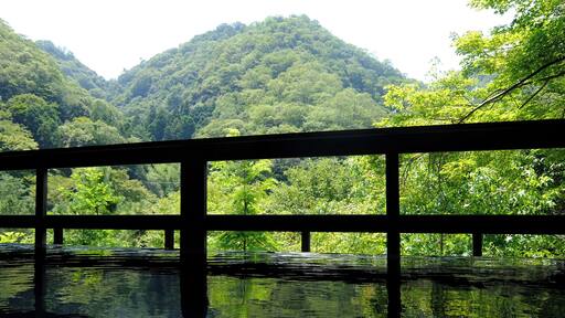 At Koyokan Bettei Azare in Takedao Onsen, Takarazuka, Hyogo prefecture, Japan