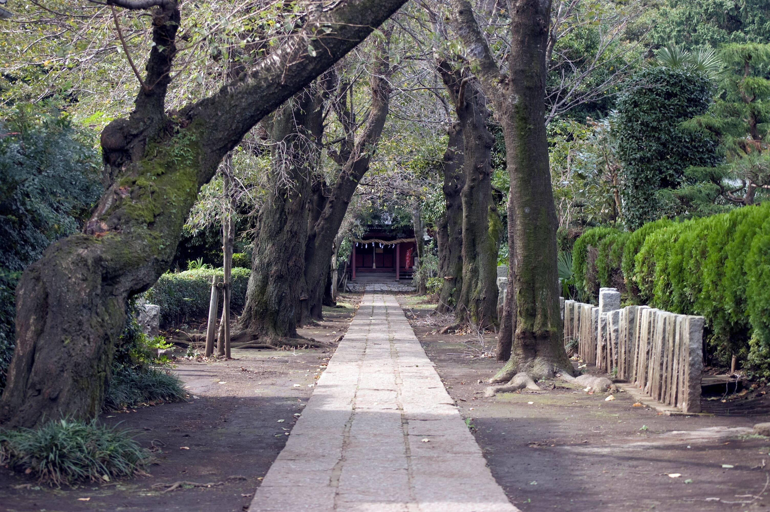 Naka-hikawa-shrine in Mikajima, Tokorozawa, Japan. See the map。