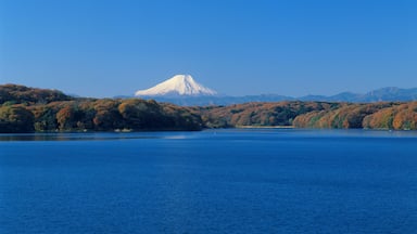 Mount Fuji and Lake Sayama, Tokorozawa, Saitama, Japan