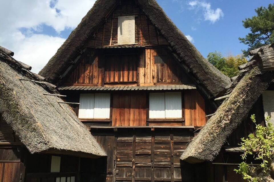 A traditional wooden house with a thatched roof, surrounded by a grassy yard and trees.
