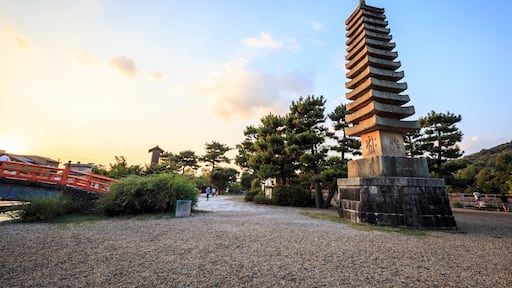 Uji