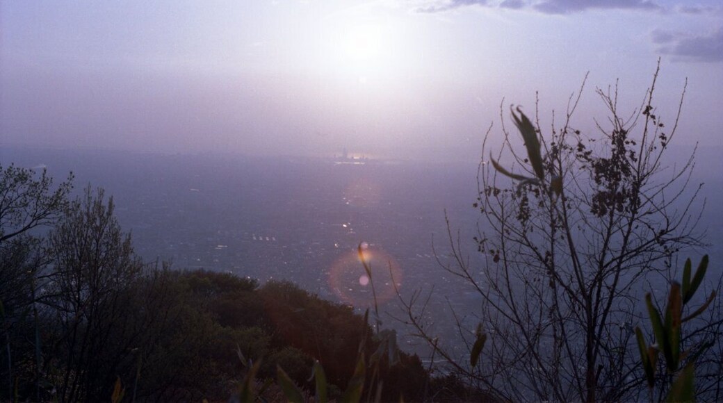 大阪平野/高安山