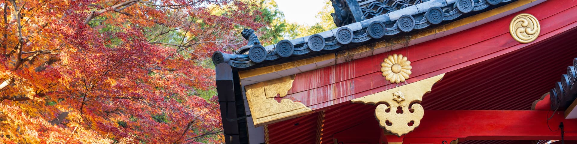 Architectural details and buildings of Iwashimizu Hachimangu Shrine surrounded by beautiful autumn foliage.