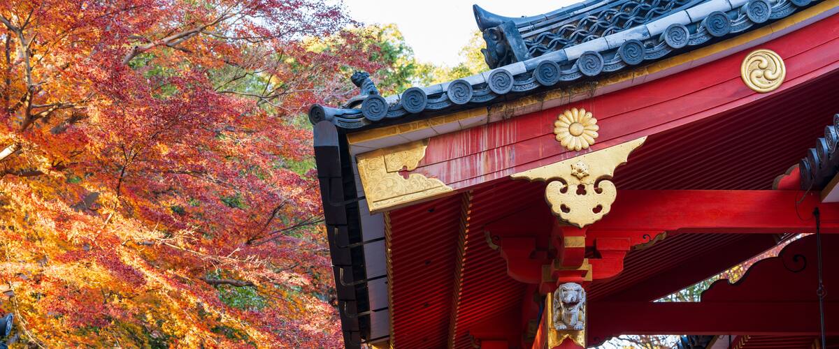A traditional Japanese gate with red and gold accents, surrounded by autumn foliage.