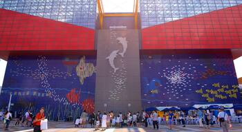 Osaka Aquarium Kaiyukan which includes marine life as well as a small group of people