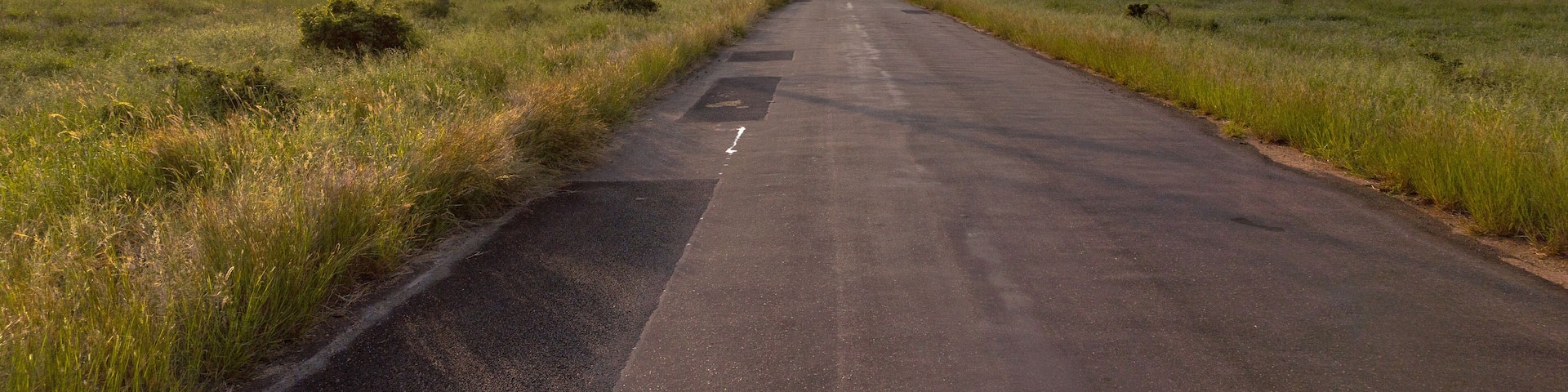 Paved road through savanna