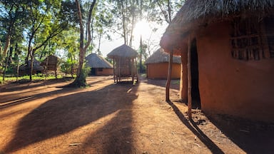 Uma trilha de terra que leva a cabanas com telhado de palha em uma área arborizada.