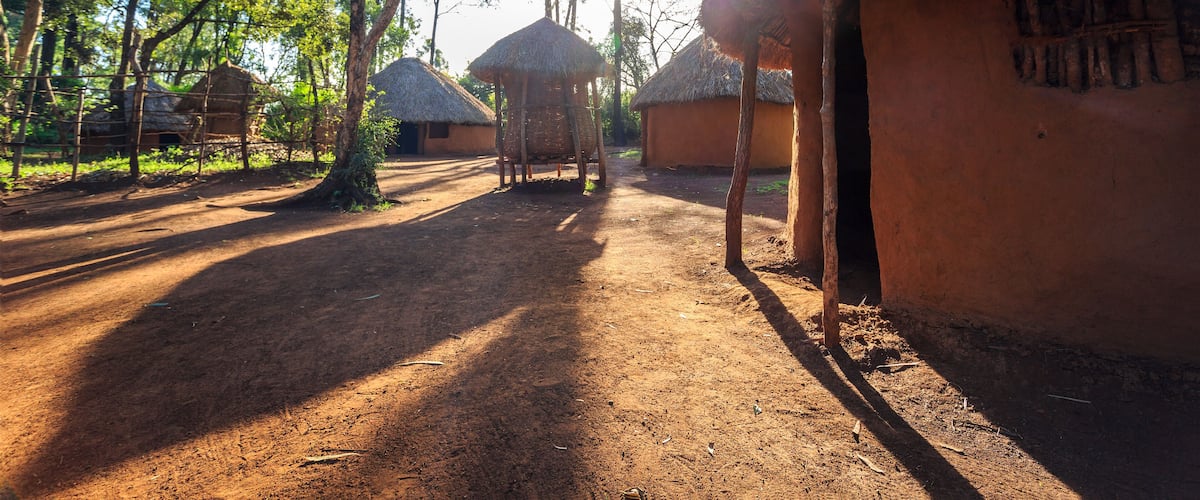 A dirt path leading to thatched-roof huts in a forested area.