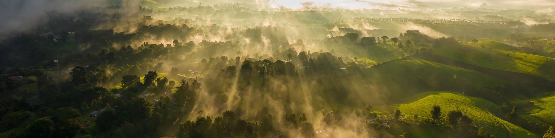 Un valle brumoso con luz solar filtrándose entre los árboles y colinas onduladas.