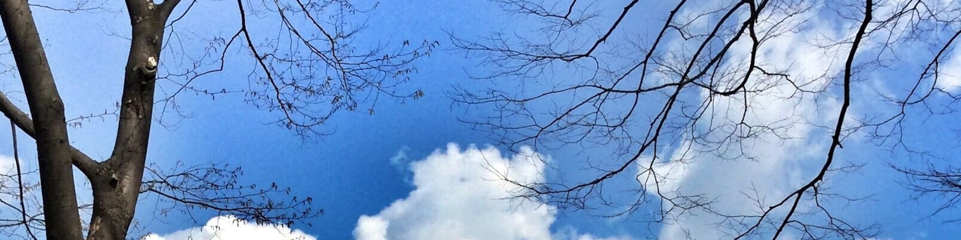 Namsan, Seoul, Korea
