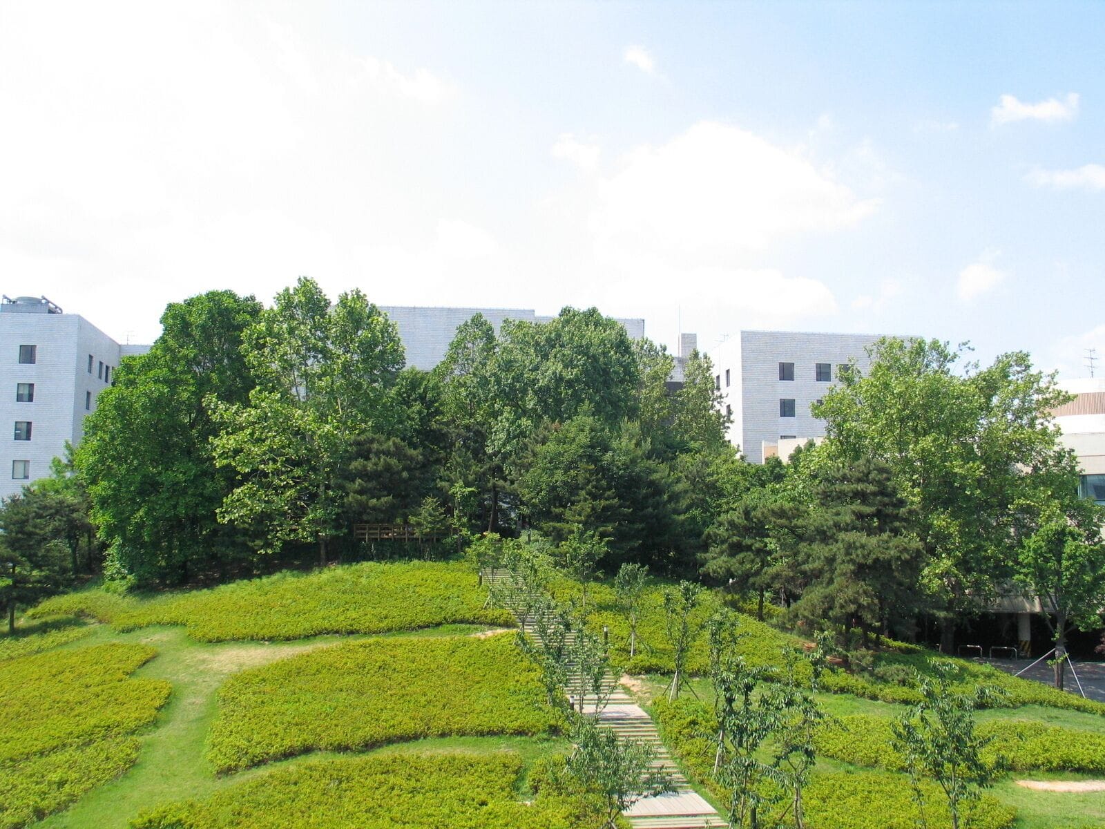 Aegineung Park in Science Campus of Korea University