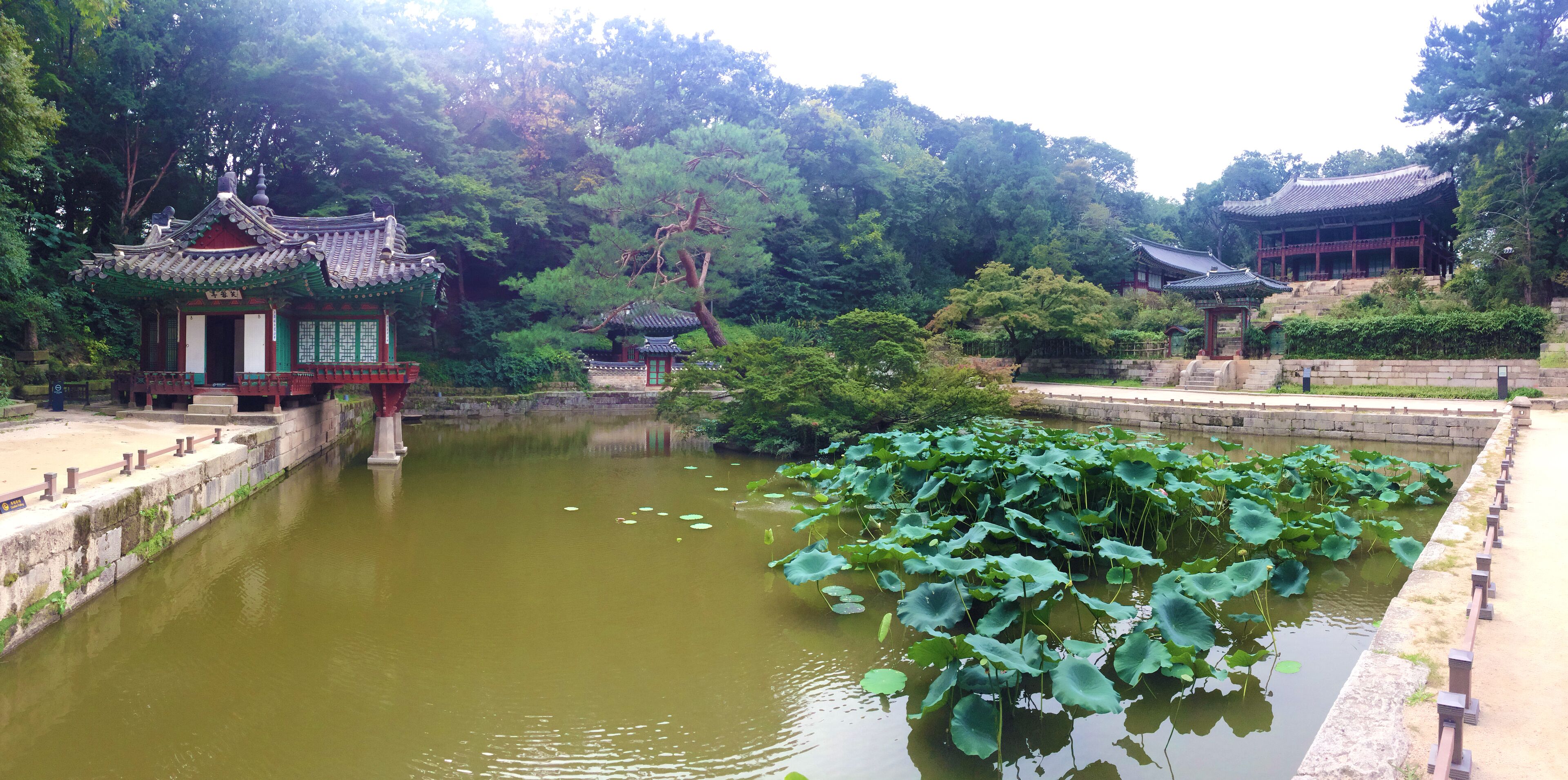 This media shows the cultural heritage monument in South Korea with the number: