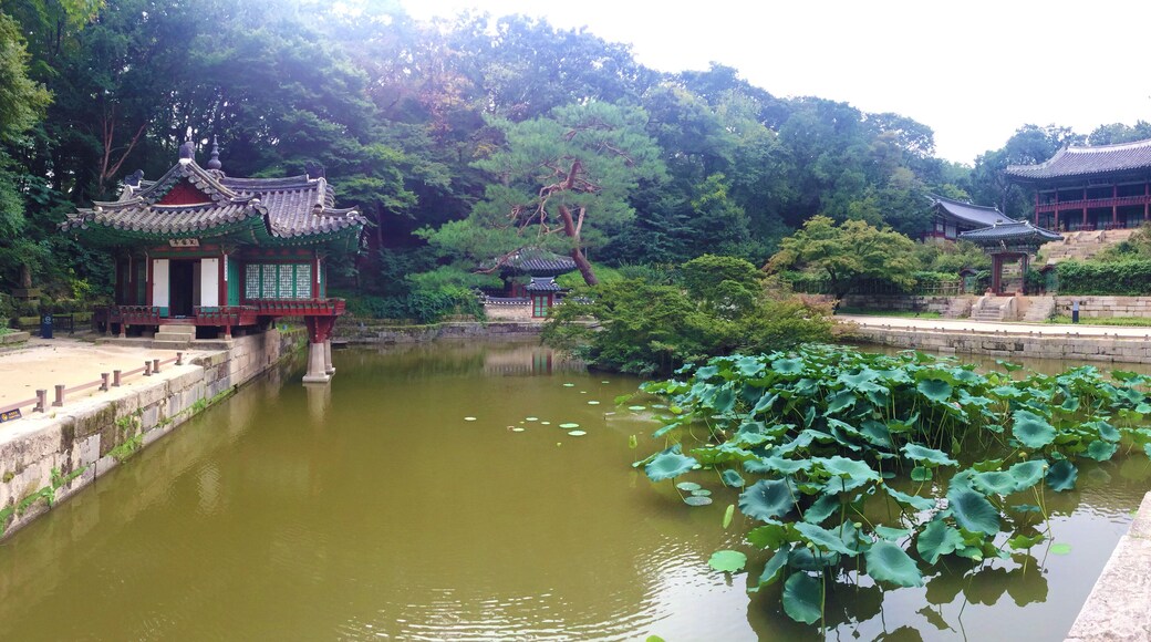 This media shows the cultural heritage monument in South Korea with the number: