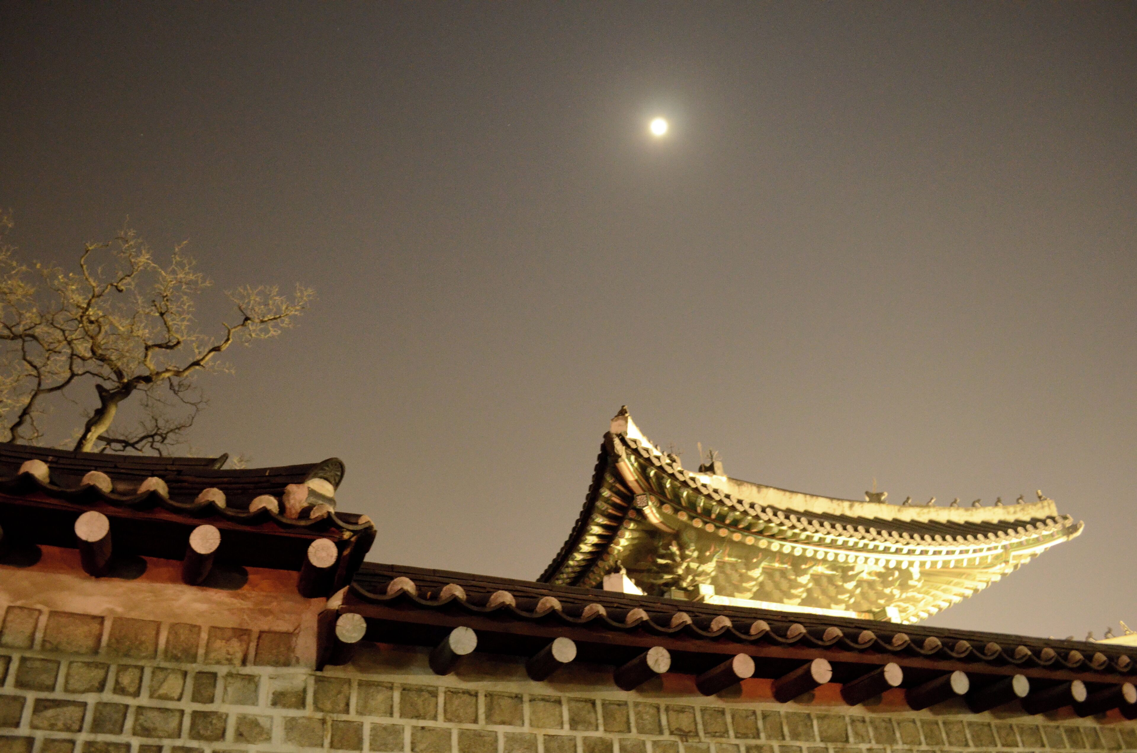 Telhado coreano tradicional com uma árvore em primeiro plano e uma lua cheia no céu.
