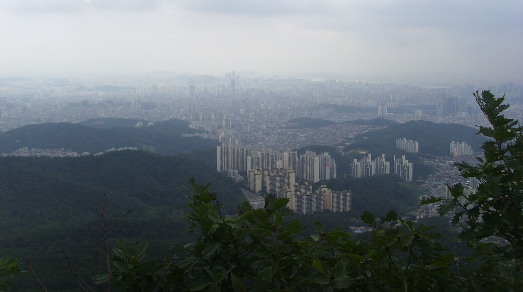 관악산에서 본 서울